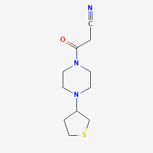 molecular formula C11H17N3OS B1477760 3-Oxo-3-(4-(tetrahydrothiophen-3-yl)piperazin-1-yl)propanenitrile CAS No. 2097981-76-3