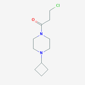 molecular formula C11H19ClN2O B1477775 3-Chloro-1-(4-cyclobutylpiperazin-1-yl)propan-1-one CAS No. 1858072-80-6