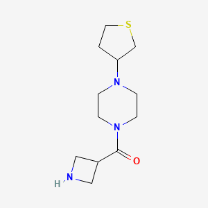 molecular formula C12H21N3OS B1477792 Azetidin-3-yl(4-(tetrahydrothiophen-3-yl)piperazin-1-yl)methanone CAS No. 2098096-73-0