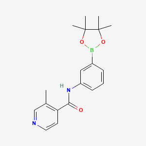 3-methyl-N-[3-(4,4,5,5-tetramethyl-1,3,2-dioxaborolan-2-yl)phenyl]pyridine-4-carboxamide