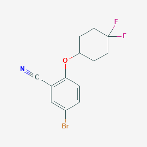 molecular formula C13H12BrF2NO B1477896 5-溴-2-((4,4-二氟环己基)氧基)苯甲腈 CAS No. 1893404-15-3
