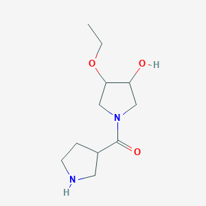 molecular formula C11H20N2O3 B1477989 (3-Ethoxy-4-hydroxypyrrolidin-1-yl)(pyrrolidin-3-yl)methanone CAS No. 2097985-43-6