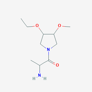 molecular formula C10H20N2O3 B1477997 2-Amino-1-(3-ethoxy-4-methoxypyrrolidin-1-yl)propan-1-one CAS No. 2097947-14-1