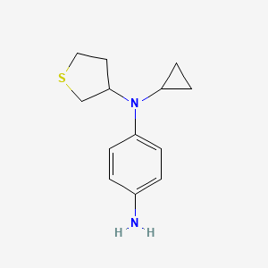 molecular formula C13H18N2S B1478008 N1-cyclopropyl-N1-(tetrahydrothiophen-3-yl)benzene-1,4-diamine CAS No. 2098000-29-2