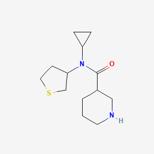 N-cyclopropyl-N-(tetrahydrothiophen-3-yl)piperidine-3-carboxamide