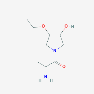 molecular formula C9H18N2O3 B1478050 2-Amino-1-(3-ethoxy-4-hydroxypyrrolidin-1-yl)propan-1-one CAS No. 2097948-39-3