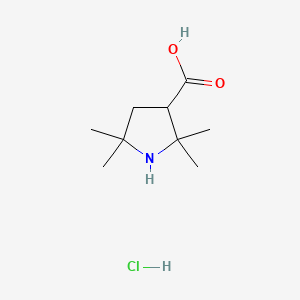 2,2,5,5-Tetramethylpyrrolidine-3-carboxylic acid hydrochloride