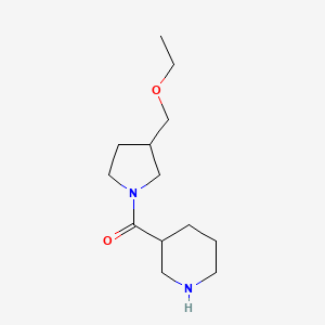 molecular formula C13H24N2O2 B1478101 (3-(Ethoxymethyl)pyrrolidin-1-yl)(piperidin-3-yl)methanone CAS No. 1839780-08-3