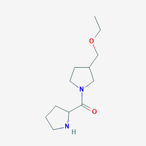 molecular formula C12H22N2O2 B1478201 3-(Ethoxymethyl)-1-prolylpyrrolidine CAS No. 1594303-46-4