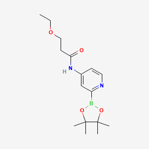 3-ethoxy-N-[2-(4,4,5,5-tetramethyl-1,3,2-dioxaborolan-2-yl)pyridin-4-yl]propanamide