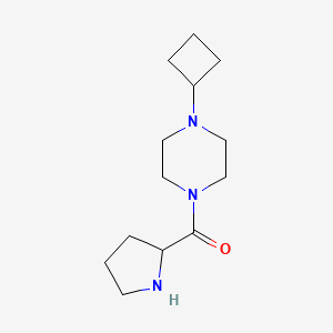 molecular formula C13H23N3O B1478218 1-Cyclobutyl-4-prolylpiperazine CAS No. 2040752-66-5