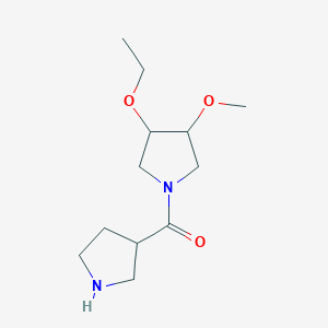 molecular formula C12H22N2O3 B1478247 (3-Ethoxy-4-methoxypyrrolidin-1-yl)(pyrrolidin-3-yl)methanone CAS No. 2097993-54-7