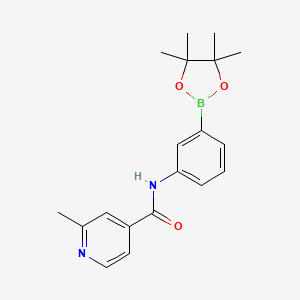 2-methyl-N-[3-(4,4,5,5-tetramethyl-1,3,2-dioxaborolan-2-yl)phenyl]pyridine-4-carboxamide