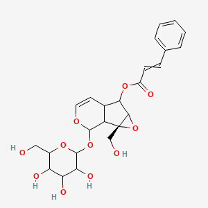 molecular formula C24H28O11 B14784561 6'-Cinnamoylcatalpol 