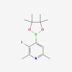 molecular formula C13H19BFNO2 B14785296 3-Fluoro-2,6-dimethyl-4-(4,4,5,5-tetramethyl-1,3,2-dioxaborolan-2-yl)pyridine 