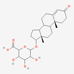 molecular formula C25H36O8 B14785370 Testosterone b-D-glucuronide 