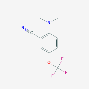 Benzonitrile, 2-(dimethylamino)-5-(trifluoromethoxy)-