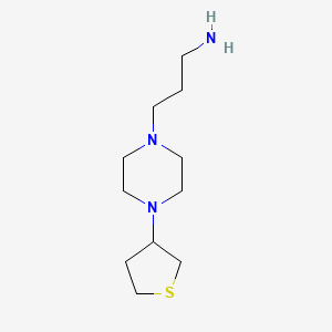 molecular formula C11H23N3S B1478734 3-(4-(Tetrahydrothiophen-3-yl)piperazin-1-yl)propan-1-amine CAS No. 2097981-72-9