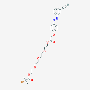 molecular formula C28H33BrN2O8 B14789480 (E)-14-(4-((3-Ethynylphenyl)diazenyl)phenoxy)-13-oxo-3,6,9,12-tetraoxatetradecyl 2-bromo-2-methylpropanoate 