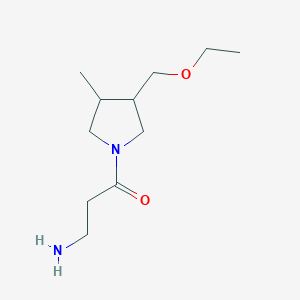 molecular formula C11H22N2O2 B1479097 3-Amino-1-(3-(ethoxymethyl)-4-methylpyrrolidin-1-yl)propan-1-one CAS No. 2097999-55-6