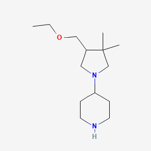 molecular formula C14H28N2O B1479116 4-(4-(乙氧甲基)-3,3-二甲基吡咯烷-1-基)哌啶 CAS No. 2098085-09-5