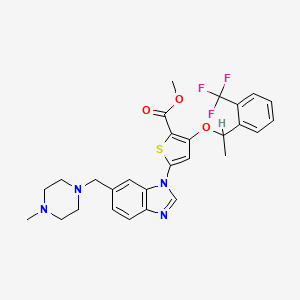 molecular formula C28H29F3N4O3S B14792981 Methyl 5-[6-[(4-methylpiperazin-1-yl)methyl]benzimidazol-1-yl]-3-[1-[2-(trifluoromethyl)phenyl]ethoxy]thiophene-2-carboxylate 