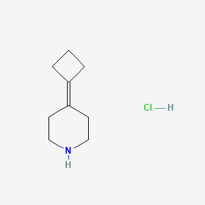 molecular formula C9H16ClN B1479466 4-Cyclobutylidenepiperidine hydrochloride CAS No. 1809353-44-3