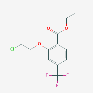 molecular formula C12H12ClF3O3 B14794707 Ethyl 2-(2-chloroethoxy)-4-(trifluoromethyl)benzoate 