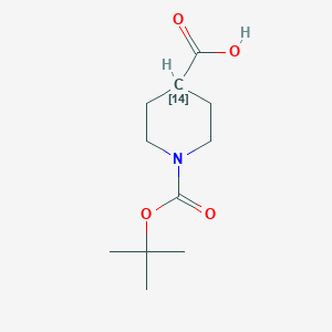 molecular formula C11H19NO4 B14794787 1-(tert-Butoxycarbonyl)piperidine-4-14C-carboxylic acid 