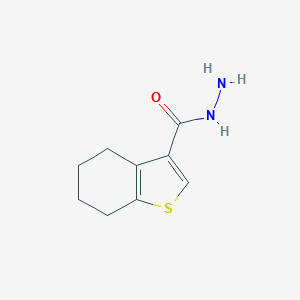 B147958 4,5,6,7-Tetrahydro-1-benzothiophene-3-carbohydrazide CAS No. 135840-47-0