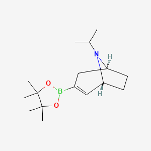 (1R,5S)-8-propan-2-yl-3-(4,4,5,5-tetramethyl-1,3,2-dioxaborolan-2-yl)-8-azabicyclo[3.2.1]oct-2-ene