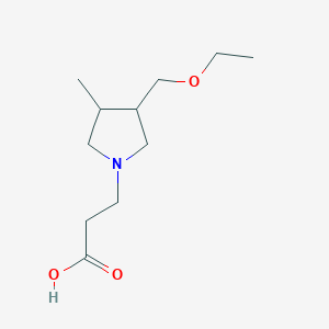 molecular formula C11H21NO3 B1480029 3-(3-(Ethoxymethyl)-4-methylpyrrolidin-1-yl)propanoic acid CAS No. 2098048-91-8