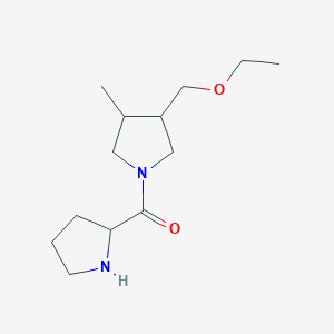 molecular formula C13H24N2O2 B1480032 3-(Ethoxymethyl)-4-methyl-1-prolylpyrrolidine CAS No. 2097948-81-5