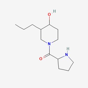molecular formula C13H24N2O2 B1480091 4-Hydroxy-1-prolyl-3-propylpiperidine CAS No. 2097943-46-7