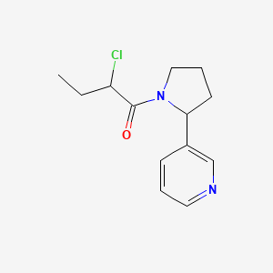 molecular formula C13H17ClN2O B1480096 2-Chloro-1-(2-(pyridin-3-yl)pyrrolidin-1-yl)butan-1-one CAS No. 2098074-94-1