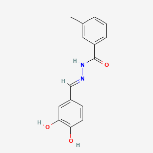 N'-[(E)-(3,4-dihydroxyphenyl)methylidene]-3-methylbenzohydrazide