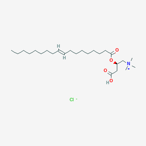 molecular formula C25H48ClNO4 B14802012 Oleoyl-L-carnitine hydrochloride CAS No. 31062-78-9