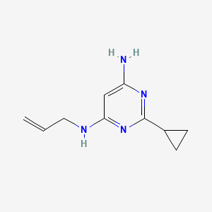 molecular formula C10H14N4 B1480321 N4-allyl-2-cyclopropylpyrimidine-4,6-diamine CAS No. 2098084-51-4