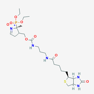 molecular formula C24H42N5O8PS B14803937 (2S)-2-(Diethoxyphosphoryl)-2-methyl-3-((((3-(5-((3aS,4S,6aR)-2-oxohexahydro-1H-thieno[3,4-d]imidazol-4-yl)pentanamido)propyl)carbamoyl)oxy)methyl)-3,4-dihydro-2H-pyrrole 1-oxide 