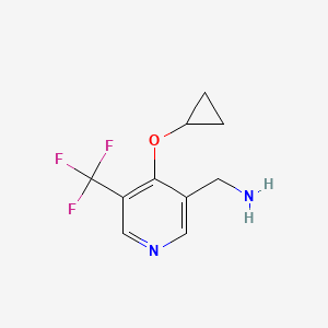 molecular formula C10H11F3N2O B14805149 (4-Cyclopropoxy-5-(trifluoromethyl)pyridin-3-YL)methanamine 