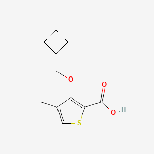 molecular formula C11H14O3S B1480541 3-(Cyclobutylmethoxy)-4-methylthiophene-2-carboxylic acid CAS No. 2092723-21-0