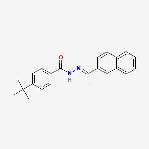 molecular formula C23H24N2O B14805437 4-tert-butyl-N'-[(1E)-1-(naphthalen-2-yl)ethylidene]benzohydrazide 