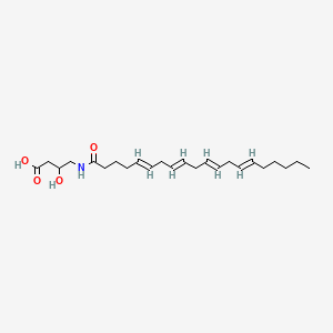 molecular formula C24H39NO4 B14805659 N-Arachidonoyl-3-hydroxy--Aminobutyric Acid 