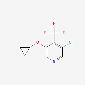 molecular formula C9H7ClF3NO B14805930 3-Chloro-5-cyclopropoxy-4-(trifluoromethyl)pyridine 