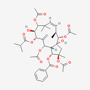 [(1R,2R,3aR,4S,5S,6Z,10S,11S,13aS)-2,4,9,13-tetraacetyloxy-3a,10-dihydroxy-2,5,8,8-tetramethyl-12-methylidene-11-(2-methylpropanoyloxy)-3,4,5,9,10,11,13,13a-octahydro-1H-cyclopenta[12]annulen-1-yl] benzoate