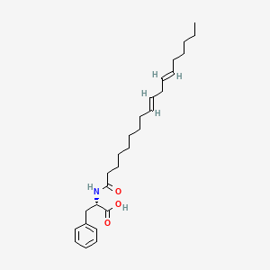 (2S)-2-[[(9E,12E)-octadeca-9,12-dienoyl]amino]-3-phenylpropanoic acid