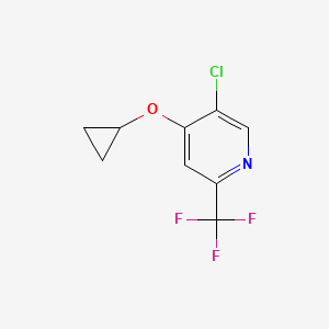 5-Chloro-4-cyclopropoxy-2-(trifluoromethyl)pyridine