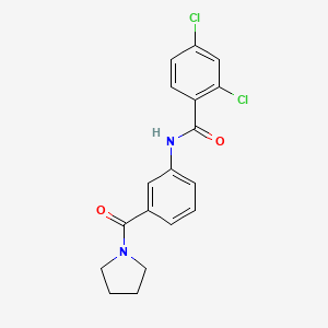 2,4-dichloro-N-[3-(pyrrolidin-1-ylcarbonyl)phenyl]benzamide