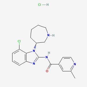 (R)-N-(1-(Azepan-3-yl)-7-chloro-1H-benzo[d]imidazol-2-yl)-2-methylisonicotinamide hydrochloride