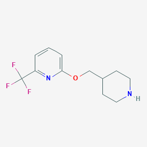 molecular formula C12H15F3N2O B14811142 2-(Piperidin-4-ylmethoxy)-6-(trifluoromethyl)pyridine 